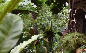 Afonso Guest House - Fontainhas